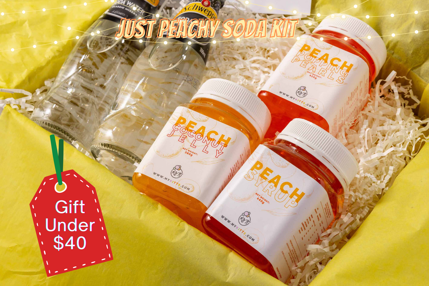 Just Peachy Soda Kit